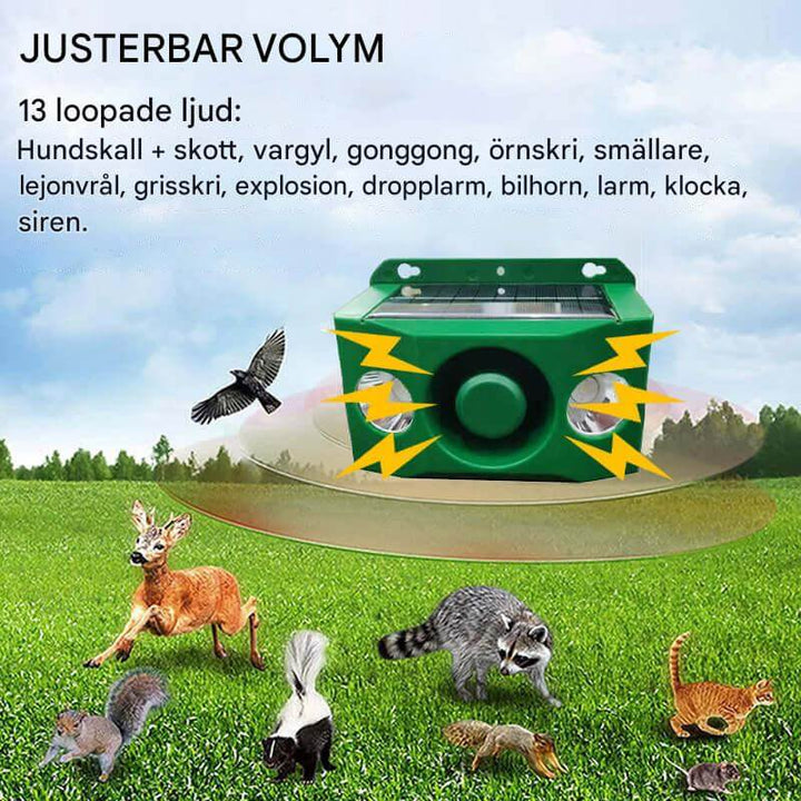 Solcellsdriven Djurhållare med Hög Volym