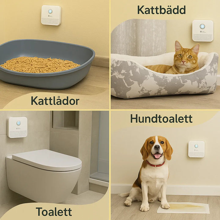Airclean luftrenare i vitt, diskret och elegant design, för effektiv luktborttagning runt kattlådor med avancerad teknologi.