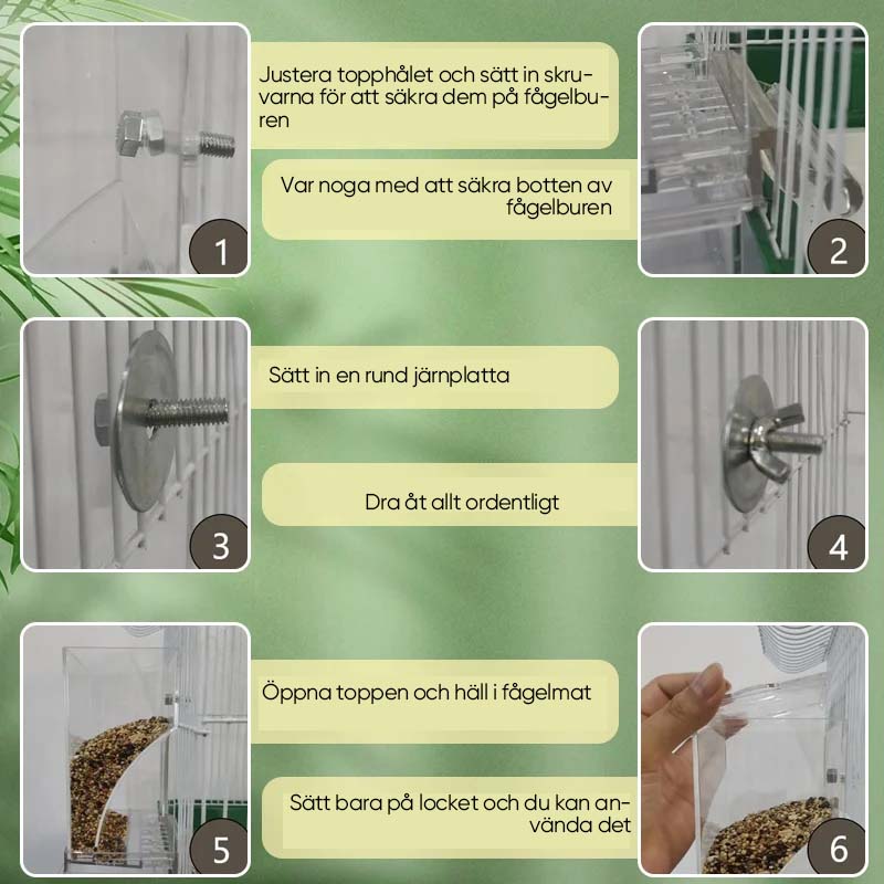 "Automatisk fågelmatare, transparent och spillfri, robust design av PP-material, lämplig för olika fågelarter."