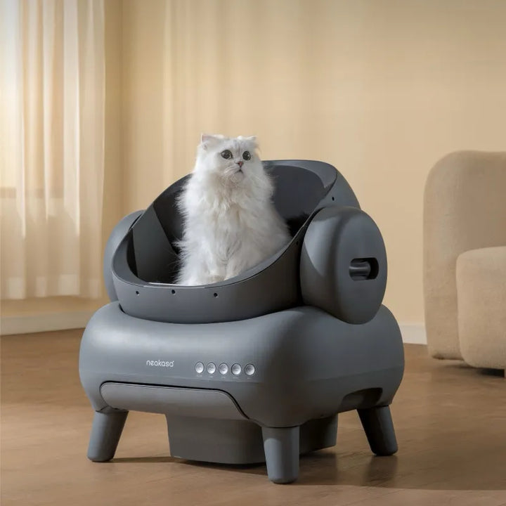 "Automatisk, luktfri kattlåda i svart med självrengörande funktion, säker för katter, rymlig och hygienisk design."