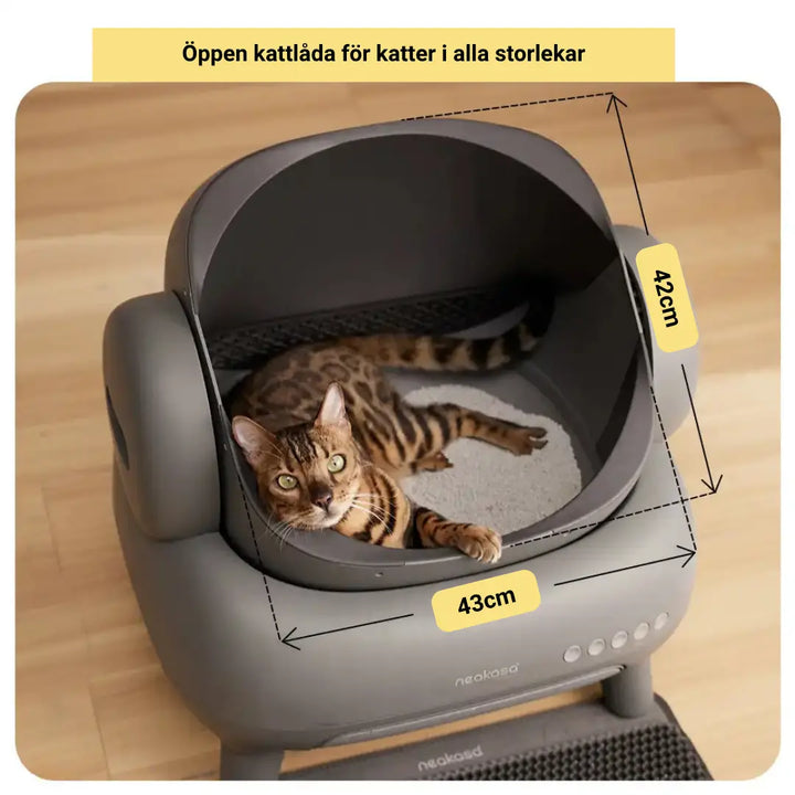 "Automatisk, luktfri kattlåda i svart med självrengörande funktion, säker för katter, rymlig och hygienisk design."