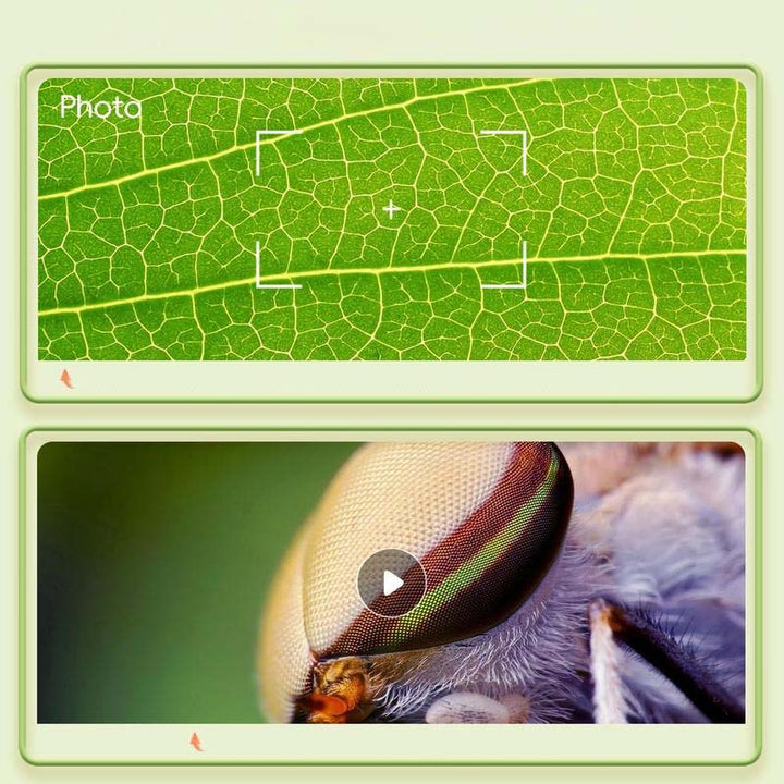 Barnvetenskapsmikroskop med färgdisplay, kompakt design, kraftfull förstoring och LED-belysning för unga forskare.