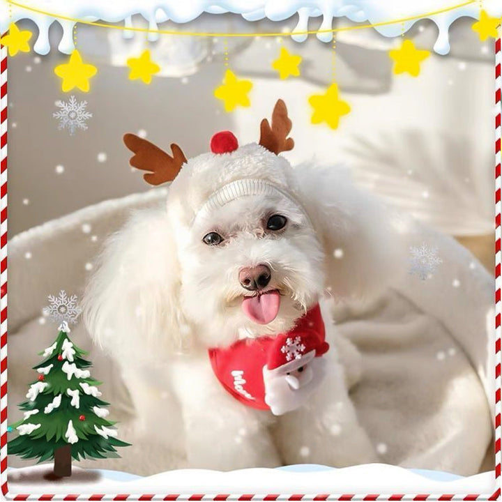 Bedårande julkläder för husdjur med röd mössa och grön dregglis i mjuk polyester, perfekt för festliga tillfällen.