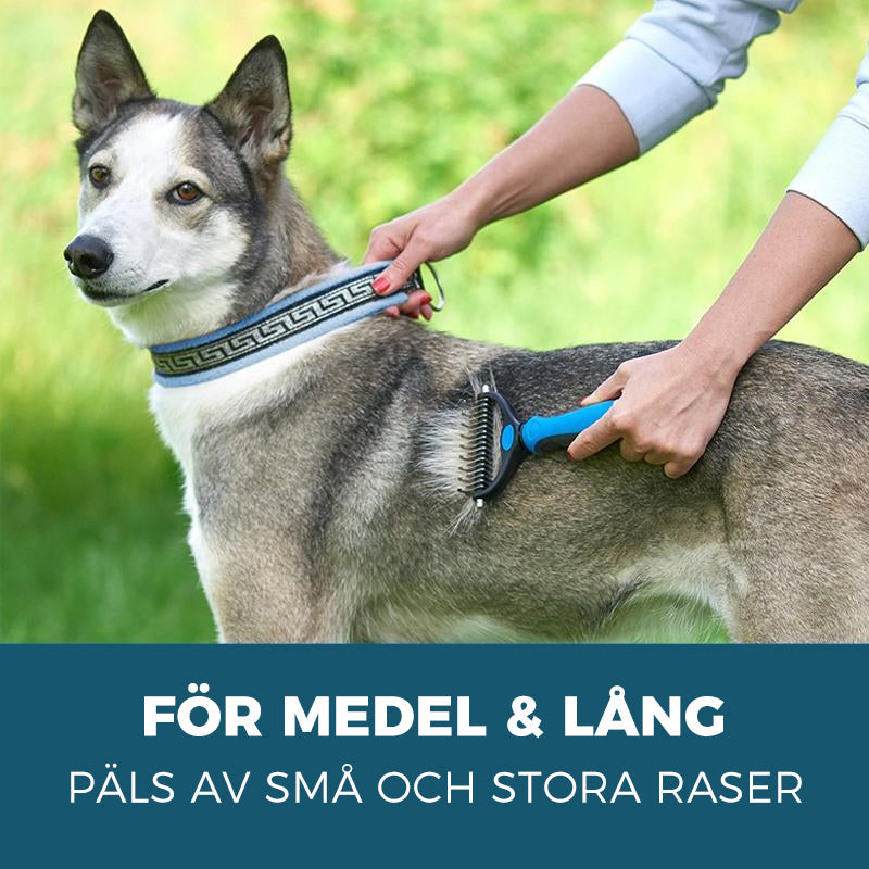 "Blå och rosa skötselborste för husdjur med rostfria stålblad, perfekt för katter och hundar med lång eller medelhårig päls."
