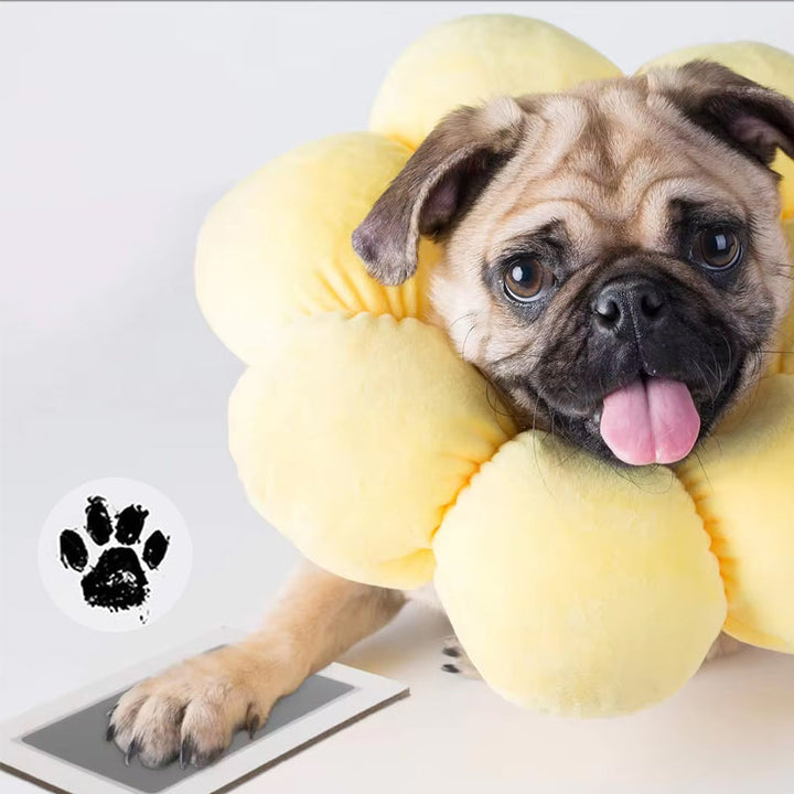 "Bläckfritt tassavtryckskit för husdjur, säker design, rent tryck, anpassat träram och kort för alla tassstorlekar"