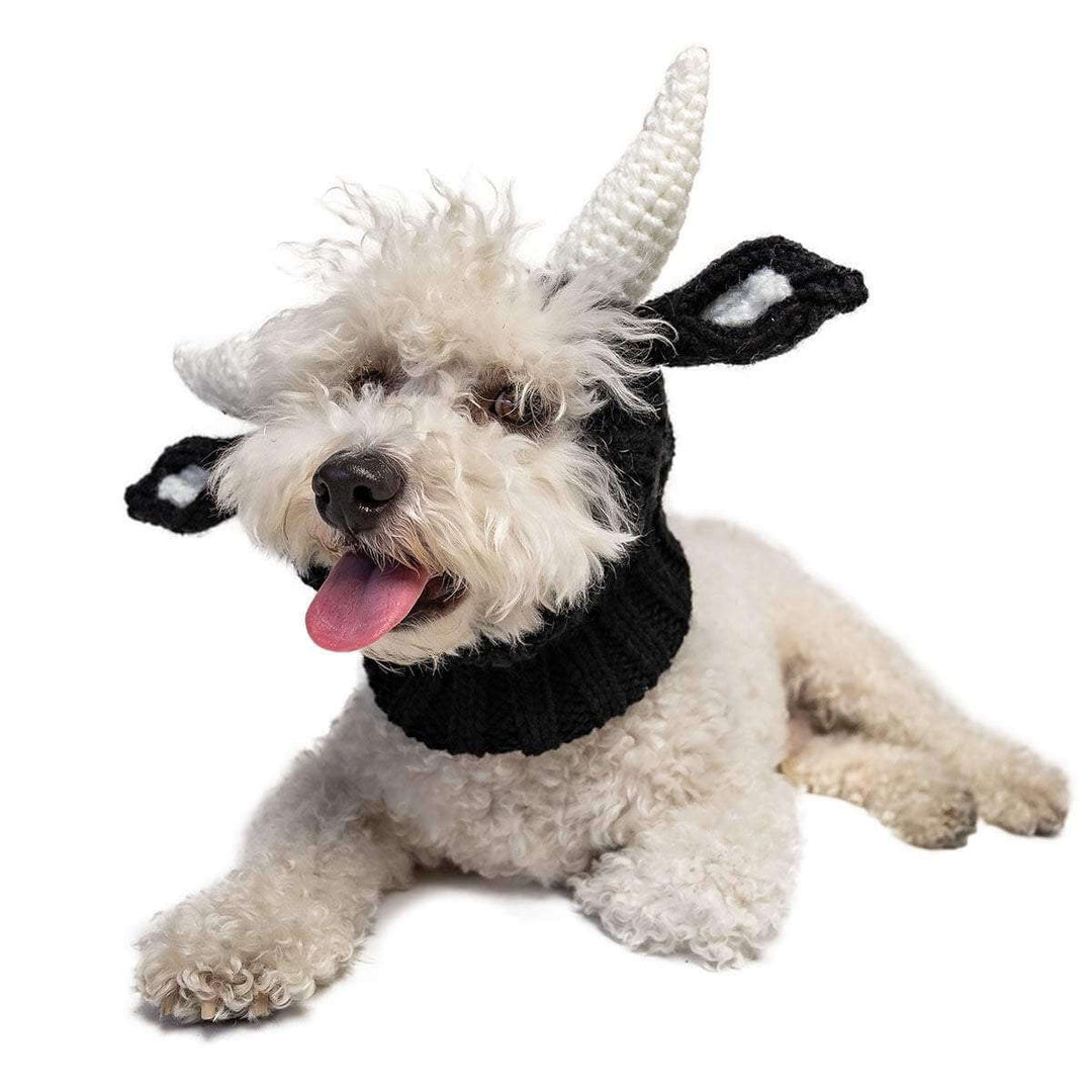 CozyUp Stickad Hundmössa – Värmande och Söt Design