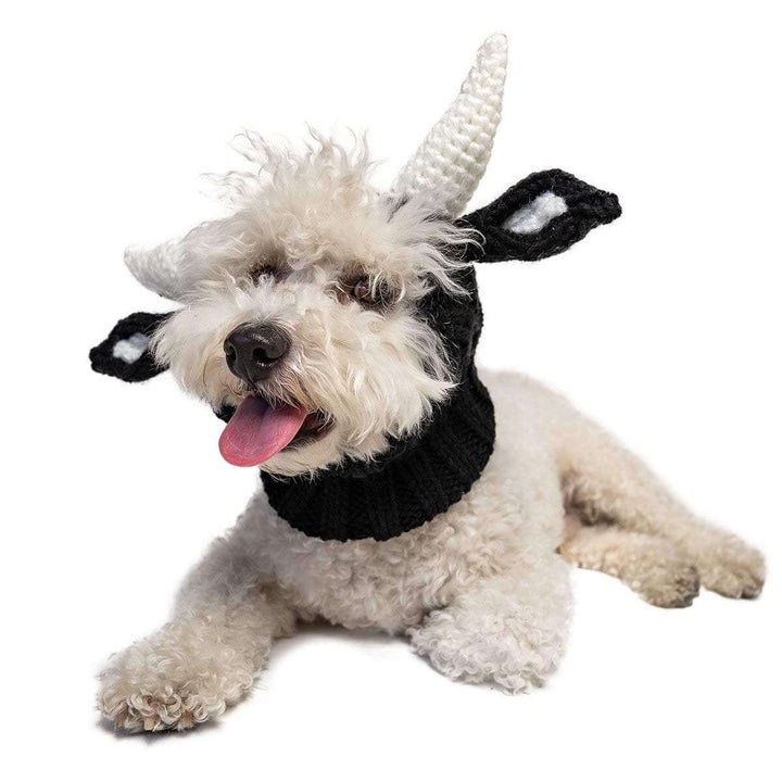 CozyUp Stickad Hundmössa – Värmande och Söt Design