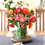 Kära Dahlia B
