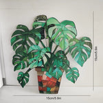 Monstera