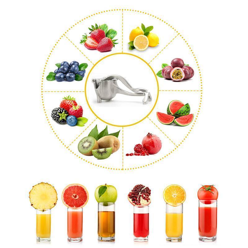 "Elegant fruktjuicepress i glänsande rostfritt stål med rymlig skål, idealisk för färskpressad juice i köket."