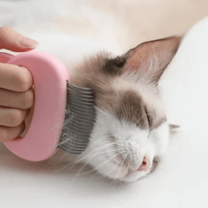 Ergonomisk kattkam för massage och borstning i blå, grön, rosa. Förbättrar pälsens glans och minskar stress.