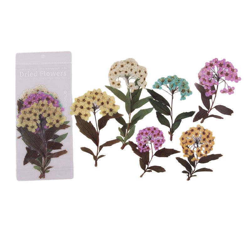 "Färgglatt set av självhäftande blommotiv klistermärken, idealiska för att dekorera släta ytor och DIY-projekt."