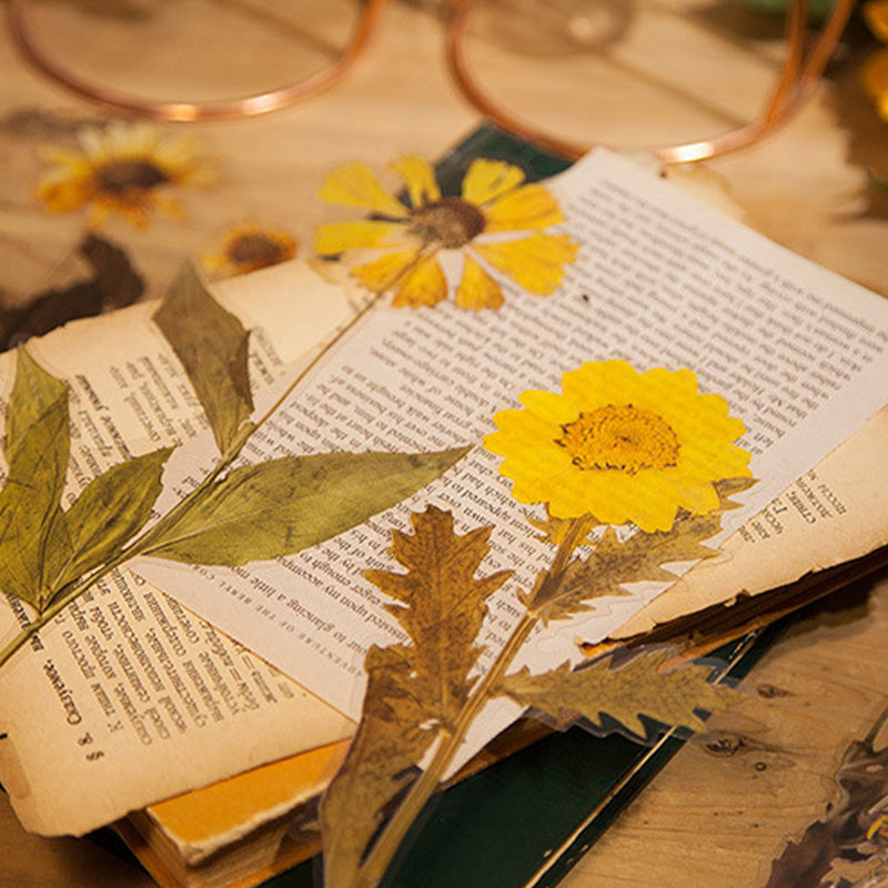 "Färgglatt set av självhäftande blommotiv klistermärken, idealiska för att dekorera släta ytor och DIY-projekt."