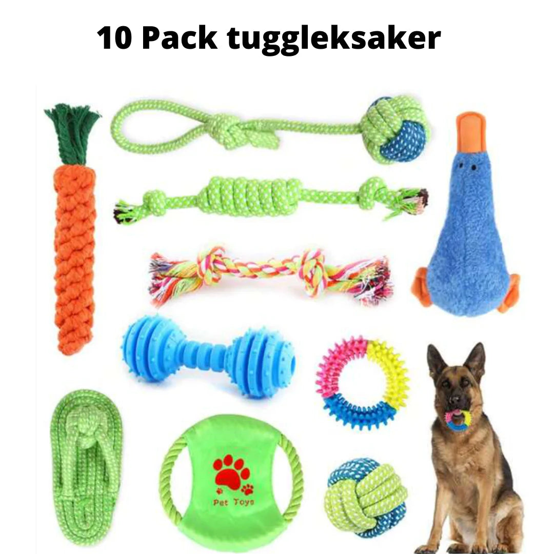 "Färggranna hållbara kampleksaker för hund, 10-pack, varierande former och storlekar, säker och tandvänlig lek"