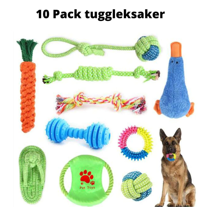 "Färggranna hållbara kampleksaker för hund, 10-pack, varierande former och storlekar, säker och tandvänlig lek"