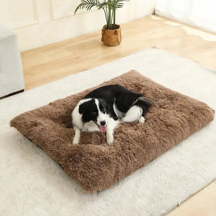 "Fluffig hundbädd i vit, rose eller brun för optimal vila, storlekar S till XXL, passar heminredning och alla hundar."