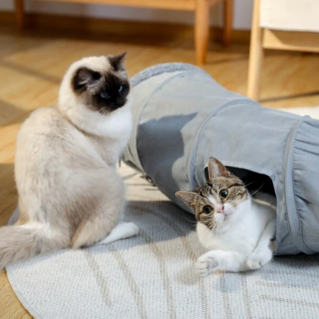 "Grå och beige hopfällbar kattunnel för lek och vila, elegant design för kattens stimulans och trygghet."