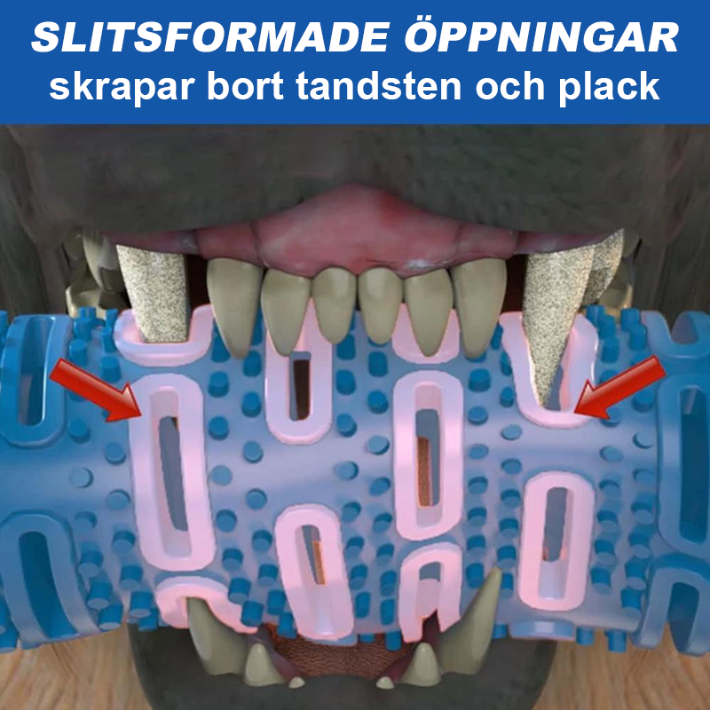 "Grön självrensande tuggborste i gummi för hundar, tandvårdsleksak för bättre munhälsa och lek."