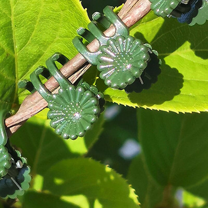 "Gröna plastklämmor för trädgård, 100-pack, stöd för orkidéer och klättrande växter, idealisk för inomhus och utomhus."