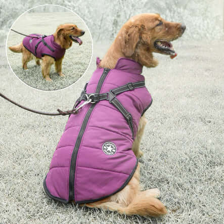 Håll Din Hund Varm i Vinter! Lufsens Vattentäta Hundtäcke med Inbyggd Sele - Glowseva