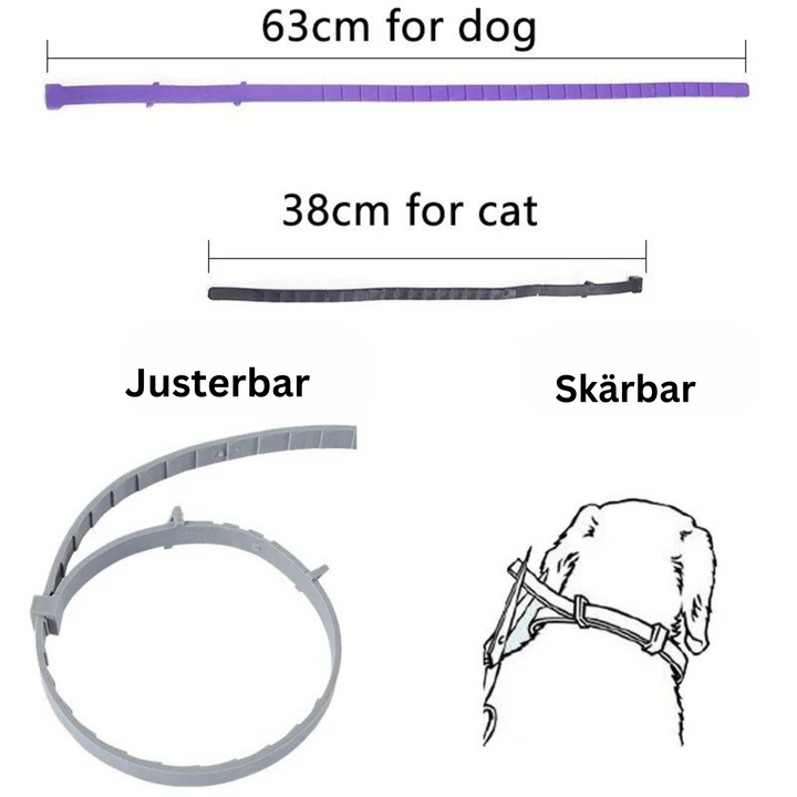 "Halsband i lila för husdjur, skyddar mot loppor och fästingar, passar både hundar och katter, 8 månaders skydd."