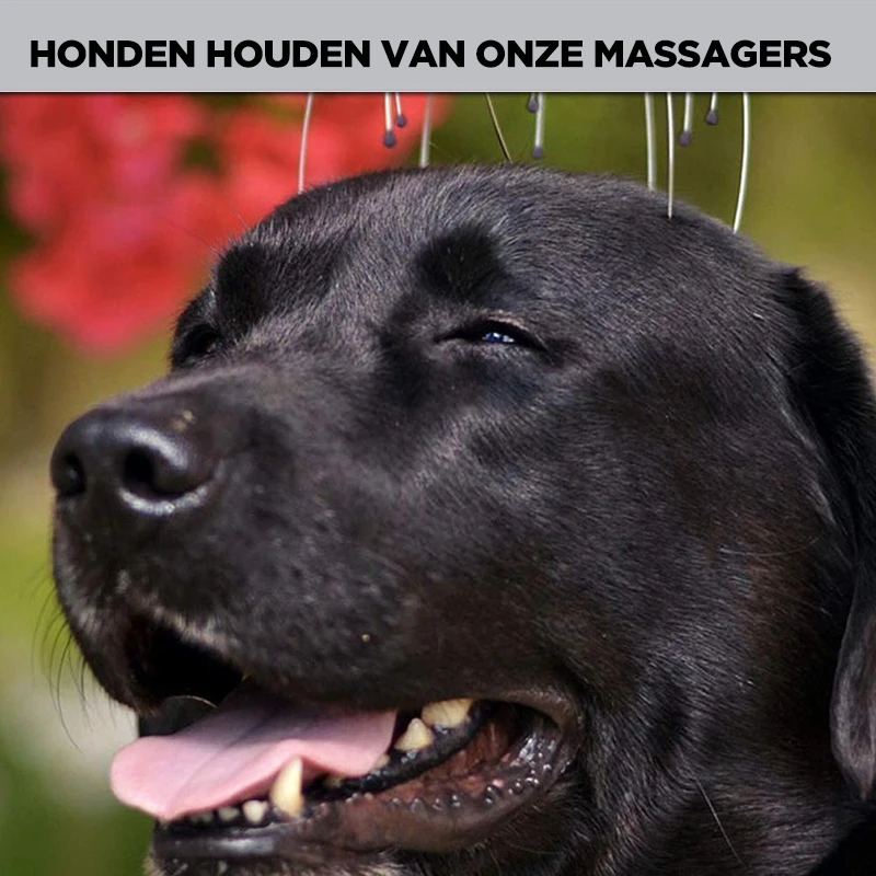 Handhållen huvudmassage, silverfärgad med kloliknande toppar, för hårstimulering och avslappning. Perfekt för välbefinnande.