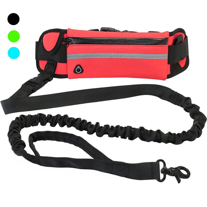 "Hundägare med flexibelt koppel och midjeväska för handsfree promenader och ökad rörelsefrihet för hunden."