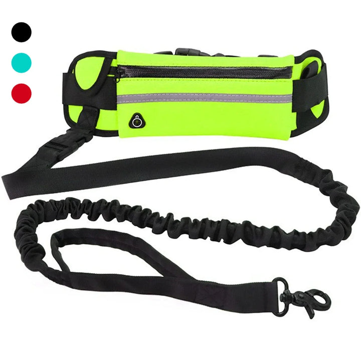 "Hundägare med flexibelt koppel och midjeväska för handsfree promenader och ökad rörelsefrihet för hunden."
