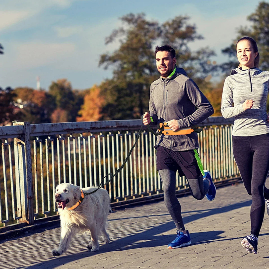 "Hundägare med flexibelt koppel och midjeväska för handsfree promenader och ökad rörelsefrihet för hunden."