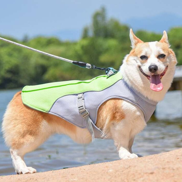 "Hundkylväst med trelagers kylningssystem och reflekterande detaljer, optimal komfort för alla hundstorlekar."