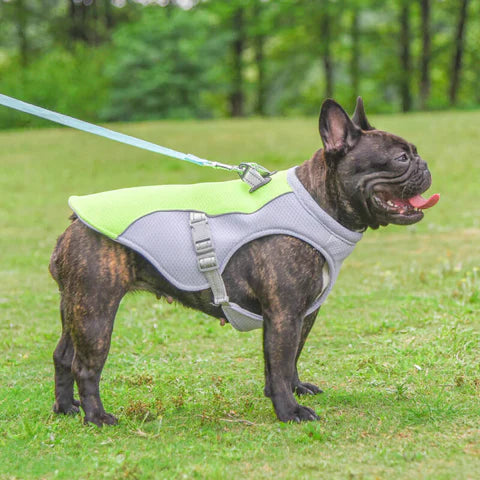 "Hundkylväst med trelagers kylningssystem och reflekterande detaljer, optimal komfort för alla hundstorlekar."
