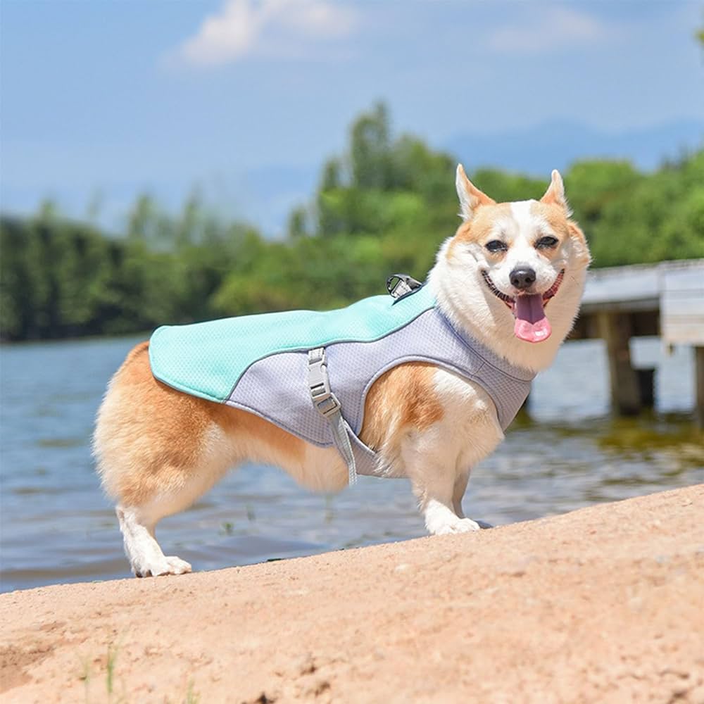 "Hundkylväst med trelagers kylningssystem och reflekterande detaljer, optimal komfort för alla hundstorlekar."