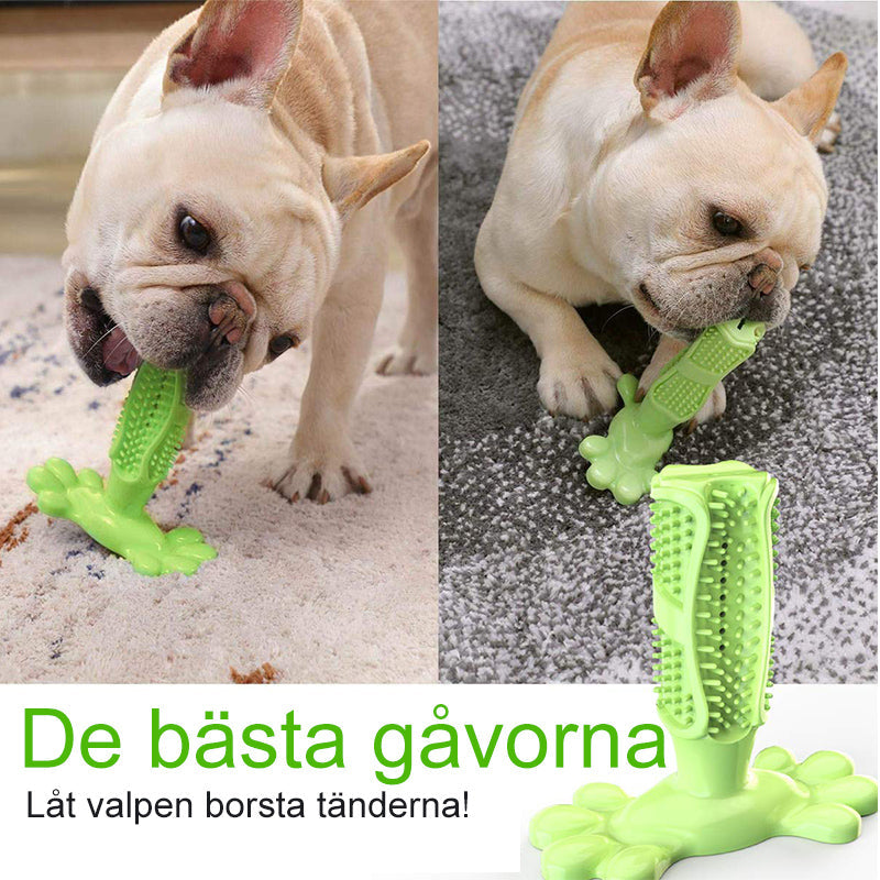 "Hundtandborste av TPR i aktion, multifunktionell design för effektiv tandrengöring och lek."