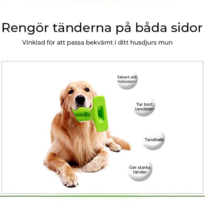 "Hundtandborste med 360 design för effektiv rengöring, säker och robust TPE-material, perfekt för alla hundstorlekar."