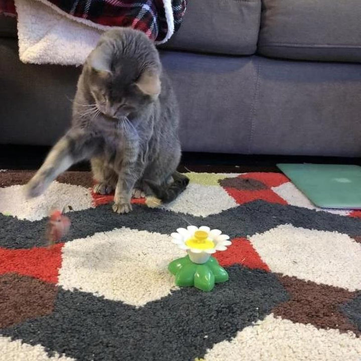 "Interaktiv fjärils- och kolibrileksak för katter med färgglada detaljer som lockar till lek och motion inomhus."