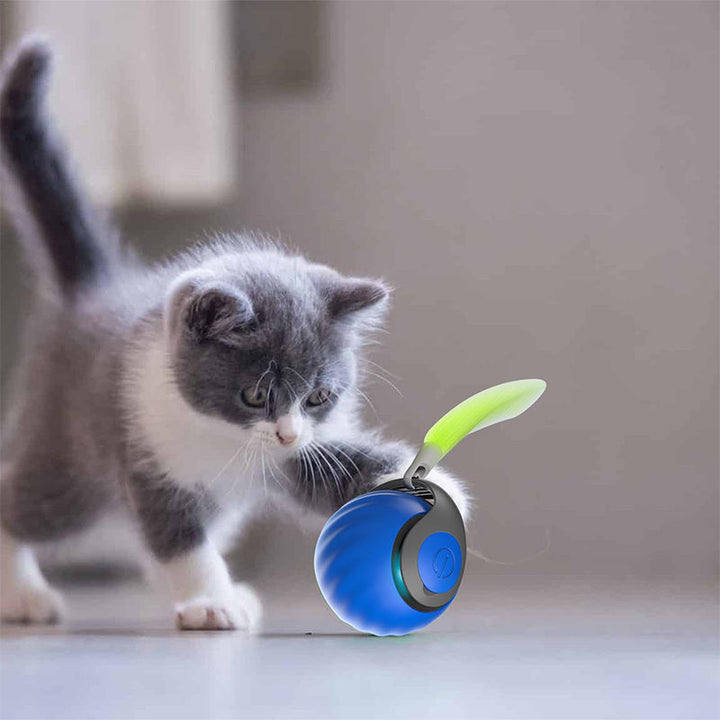 Interaktiv leksak för husdjur med rörelsedetektion, justerbara hastigheter, färgglad med rund form på träyta.