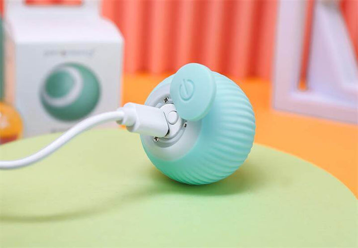 Smart husdjursboll som rör sig, ger oändlig lek för husdjur