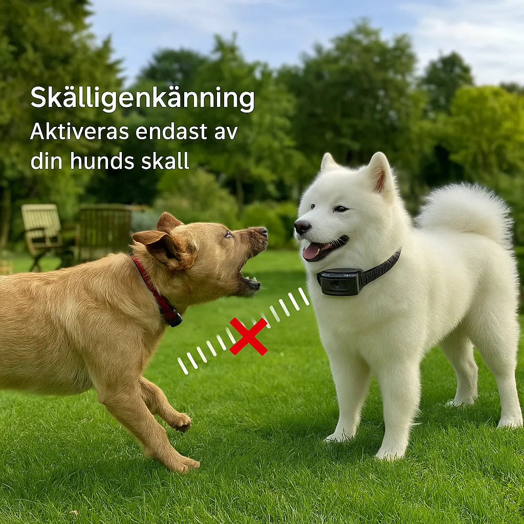 "Justerbart antiskällhalsband för hund i svart, med milda vibrationer och ljud för effektiv skällkontroll."