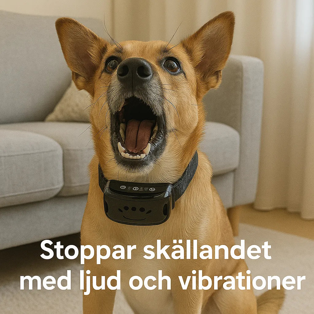 "Justerbart antiskällhalsband för hund i svart, med milda vibrationer och ljud för effektiv skällkontroll."