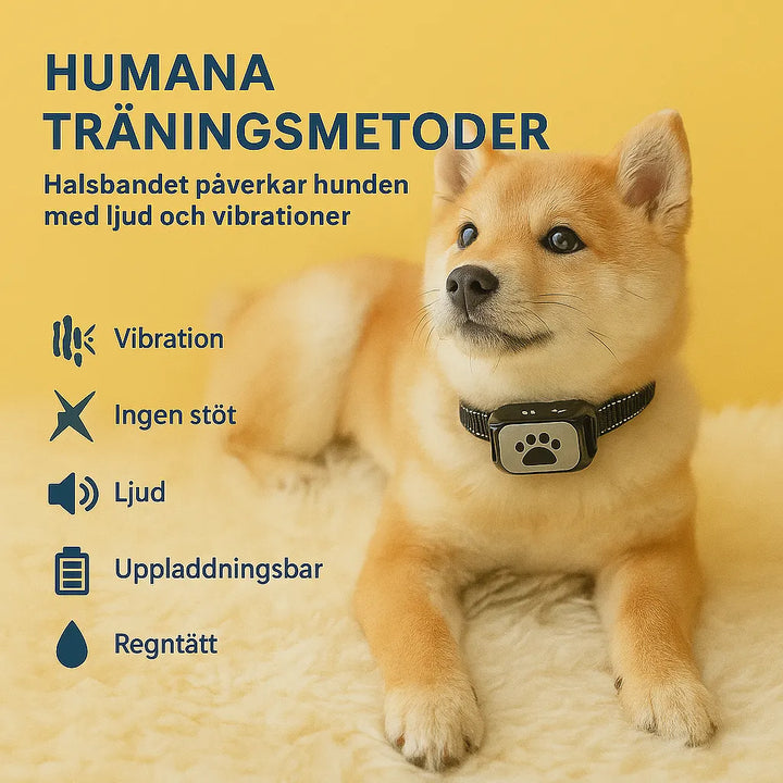"Justerbart antiskällhalsband för hund i svart, med milda vibrationer och ljud för effektiv skällkontroll."
