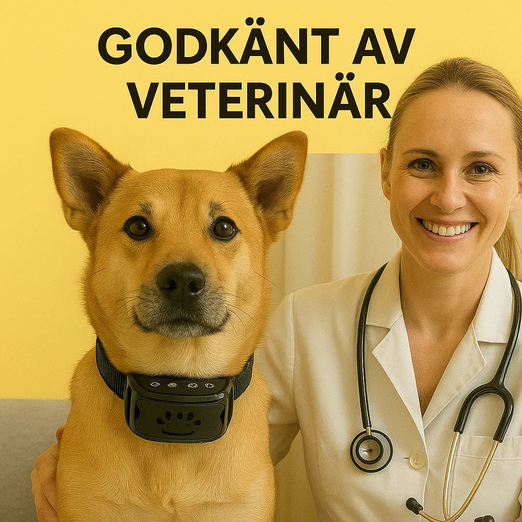 "Justerbart antiskällhalsband för hund i svart, med milda vibrationer och ljud för effektiv skällkontroll."