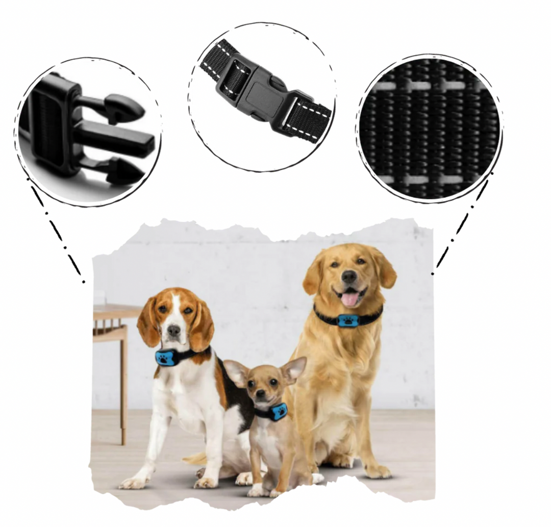 "Justerbart antiskällhalsband för hund i svart, med milda vibrationer och ljud för effektiv skällkontroll."
