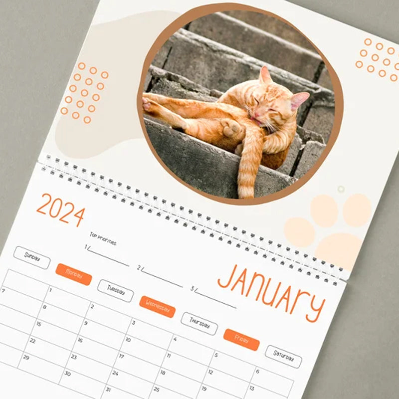 "Kattkalender 2024 med roliga kattmotiv, perfekt presentidé för kattälskare och humorentusiaster."