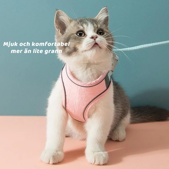 "Kattsele för husdjursaktiviteter, andningsbart nät, vaddering för komfort, justerbara remmar, silverfärg."