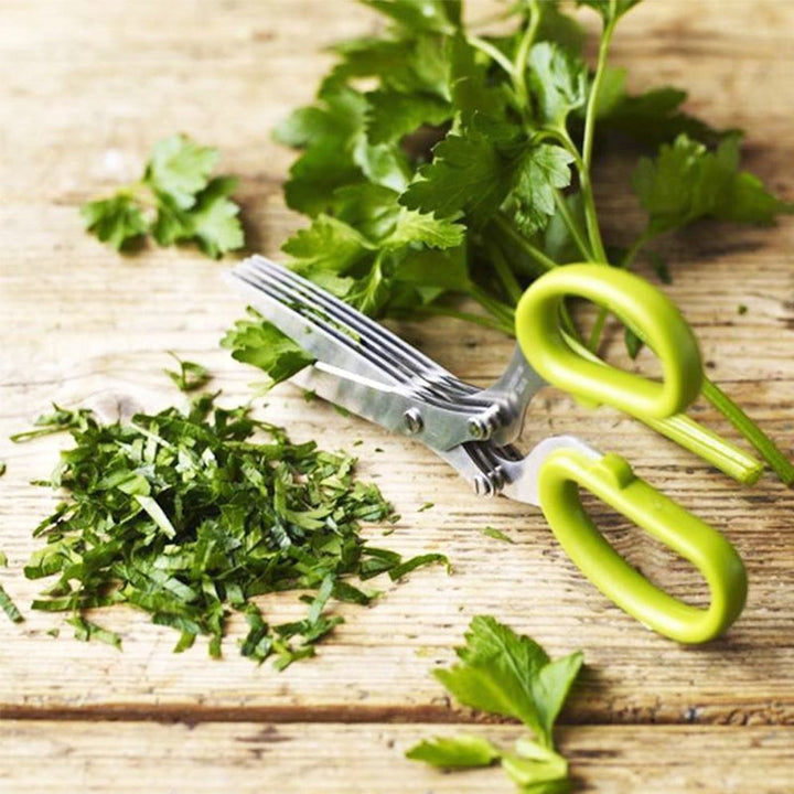 "Kökssax av rostfritt stål med fem vassa blad för effektiv skärning av gräslök och örter, grön/blå skaft."