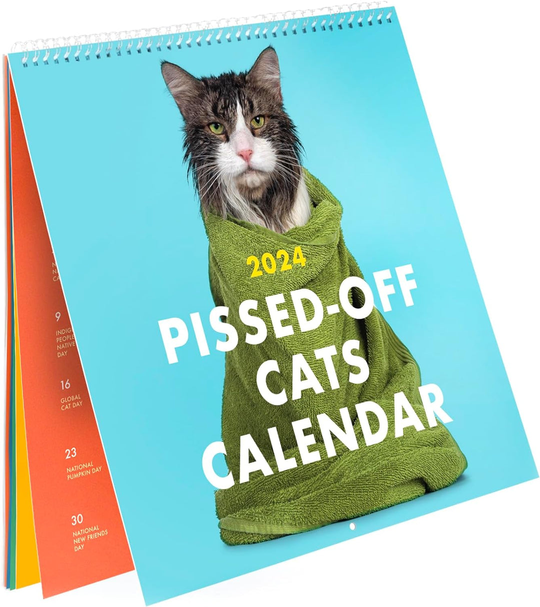 "Kul 2024 kalender med ilskna katter, humoristiska kattbilder, perfekt för kattälskare, dekorativ och funktionell."