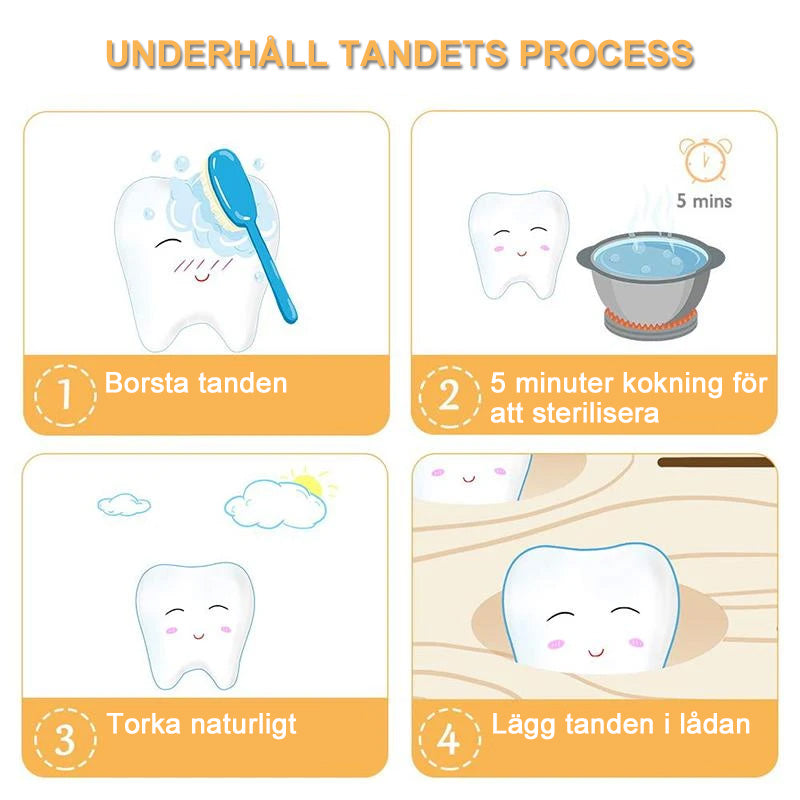 "Miljövänlig tandlåda för barn, pinjeträ, plats för 22 tänder, pojke och flicka, kompakt design, nostalgisk charm."