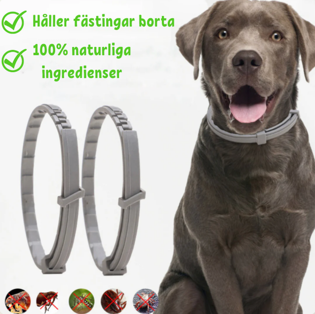 "Naturligt fästinghalsband för hund och katt, effektivt skydd, stilrent designat med pepparmynta och lavendel"