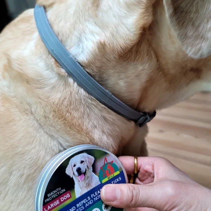 "Naturligt fästinghalsband för hund och katt, effektivt skydd, stilrent designat med pepparmynta och lavendel"