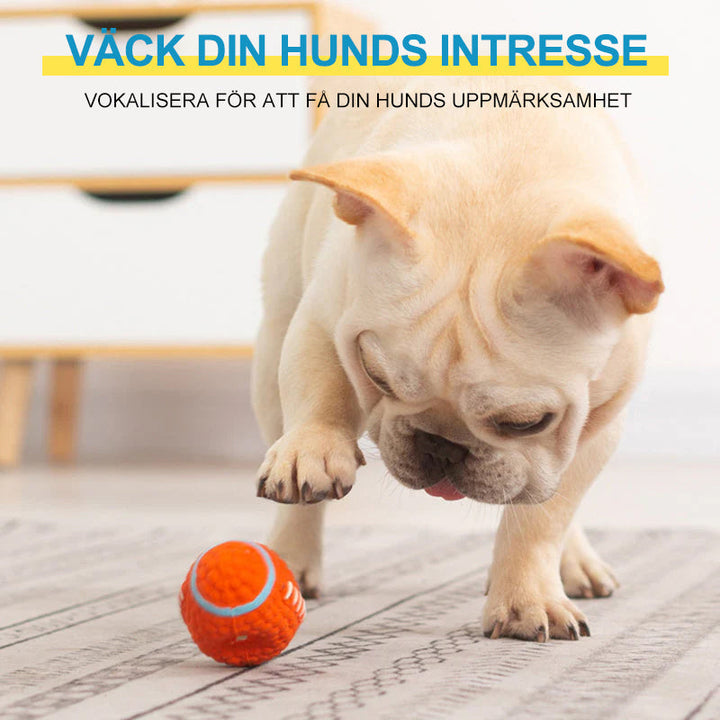"Odödlig hundleksak i latex för aggressiva tuggare, designad med majsstruktur för tandhälsa, hög studs och bollform."